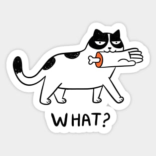 Cat evil Sticker